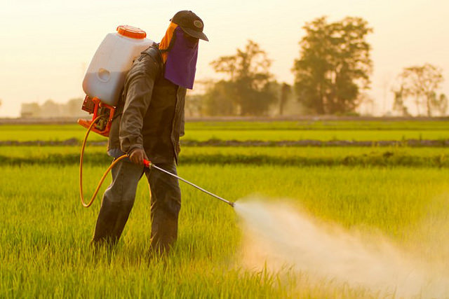 EEUU: El 75% de las muestras de aire y lluvia contienen pesticidas de Monsanto