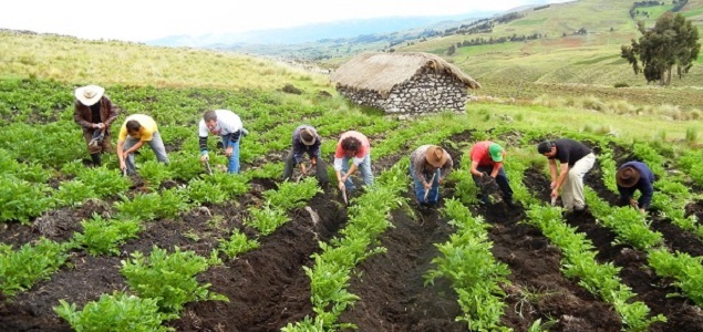 Nuevas directrices ayudan a los países a cumplir sus compromisos frente al cambio climático