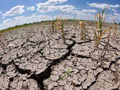 Governments Tackle Interlinked Challenges of Land Loss and Climate Change