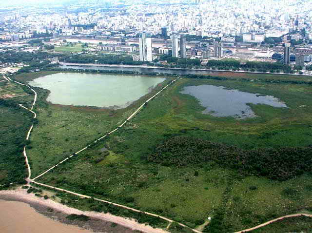 Los humedales urbanos son vitales para la protección del clima