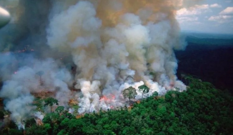 The Amazon is under fire, not only at mercy of the flames