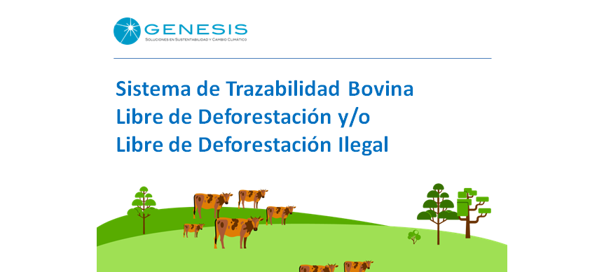 Carne Bovina Argentina Libre de Deforestación legal y/o ilegal