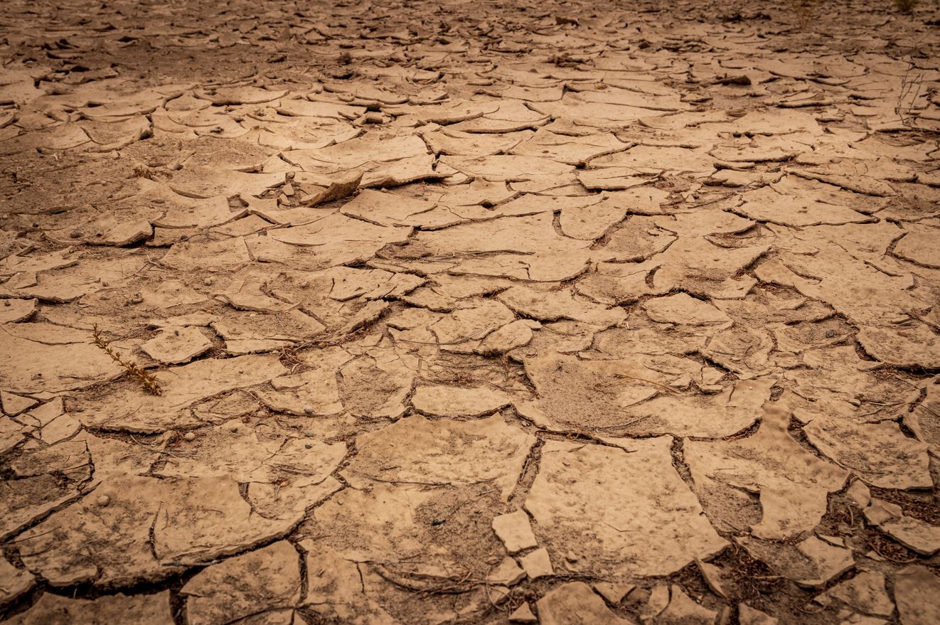 En fotos: el lago Sawa en Irak muere en manos del hombre y el cambio climático