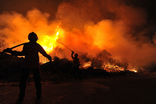 Number of wildfires to rise by 50% by 2100 and governments are not prepared, UN experts warn