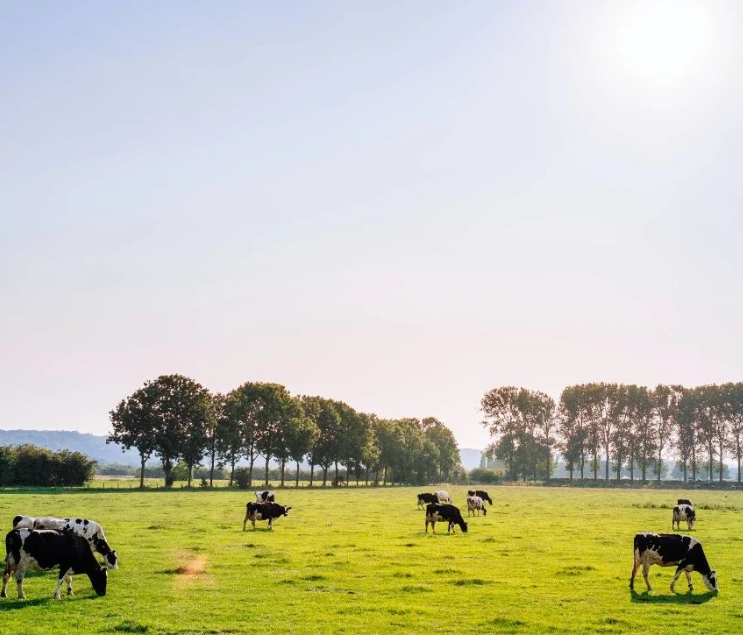 Be Healthy. La nutrición animal también busca una evolución sostenible