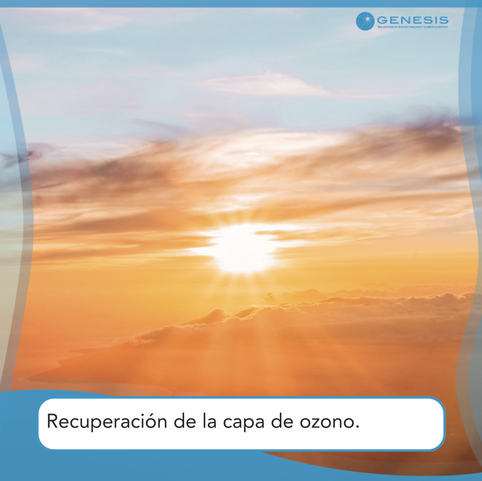 Recuperación de la capa de Ozono