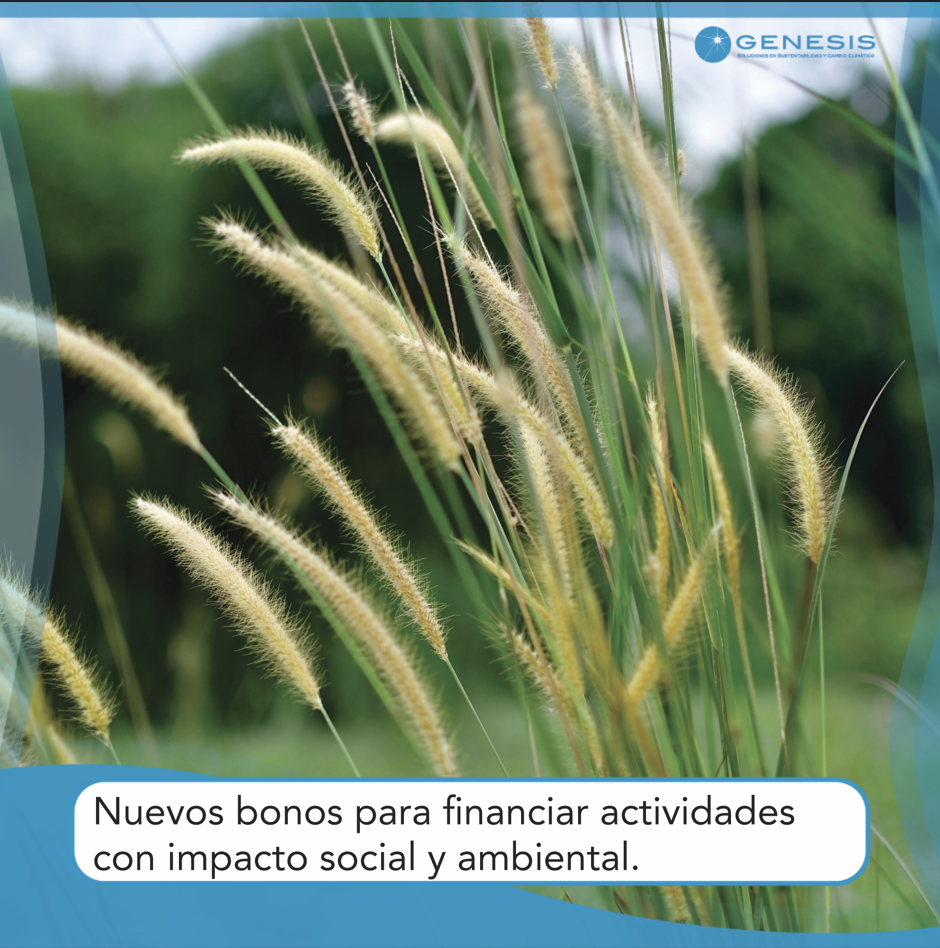 Nuevos Bonos para financiar actividades con impacto social y ambiental