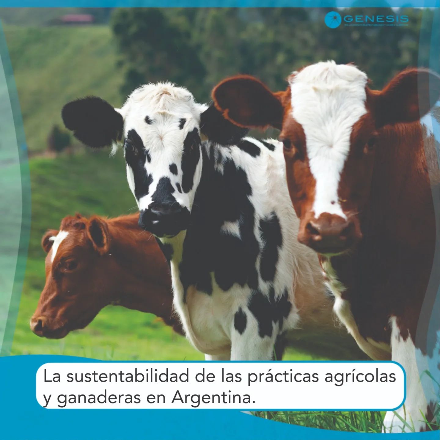 Productores Agropecuarios Argeentina