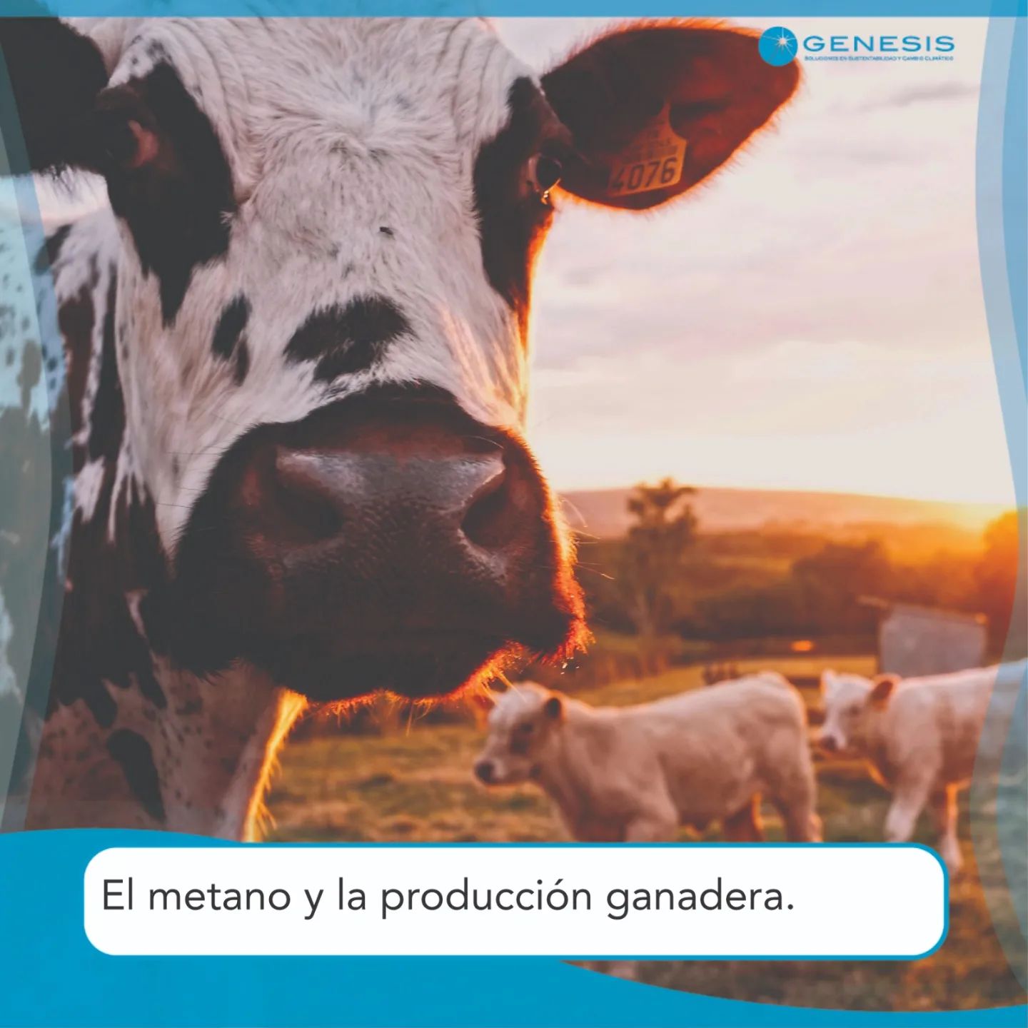 Seminario sobre la Producción Ganadera