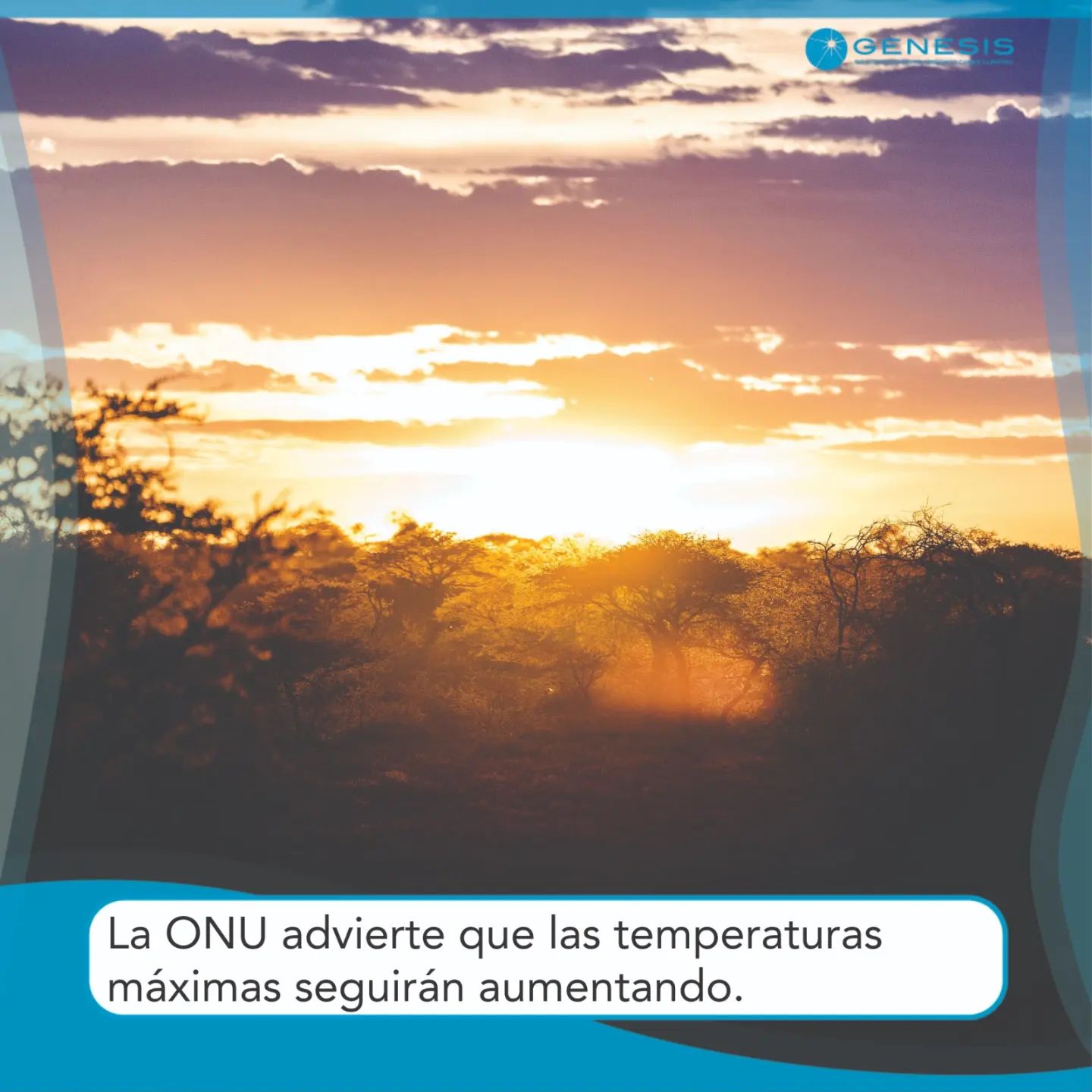 Advertencia de la ONU por altas temperaturas