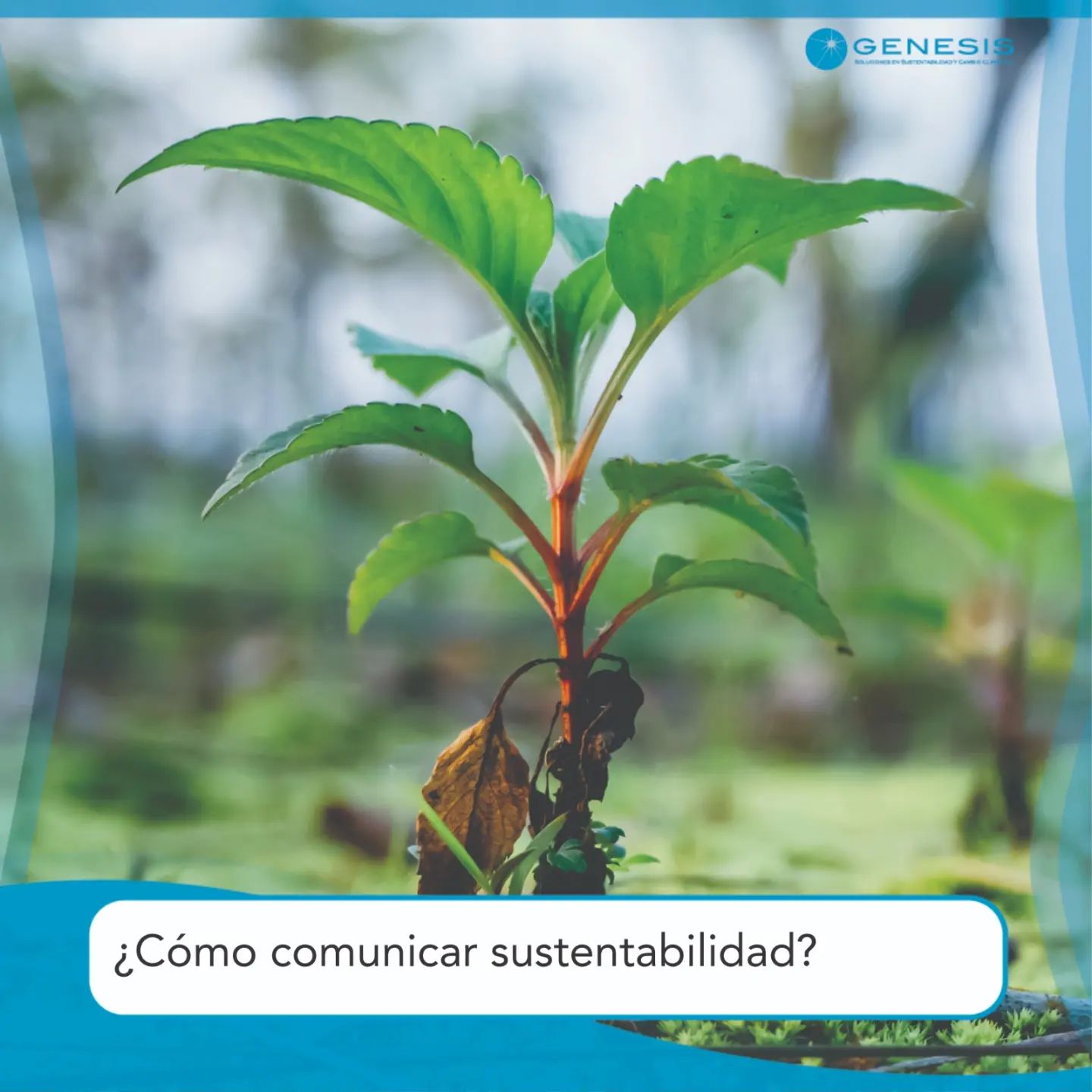 La #Comunicación de la #Sustentabilidad