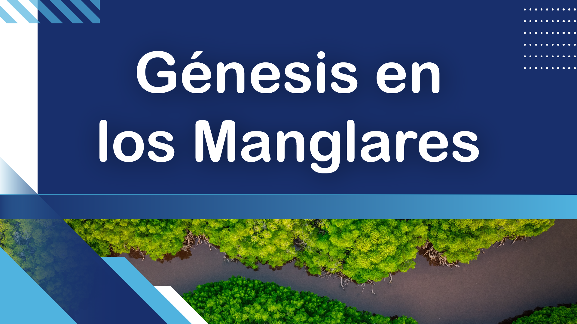 Genesis en los Manglares de México