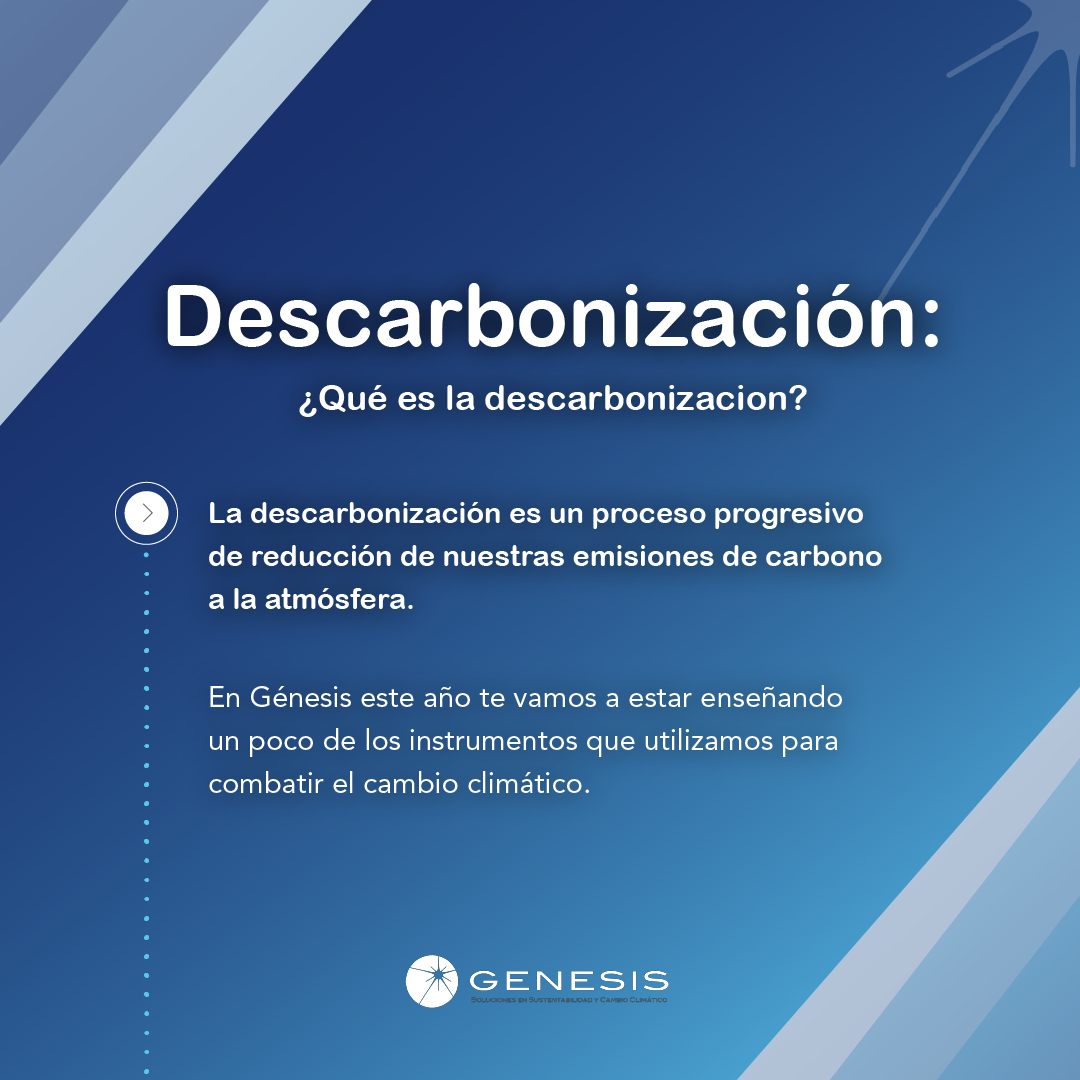 Decarbonization: Some post-COP28 reflections and their implications for the coming years for Argentina