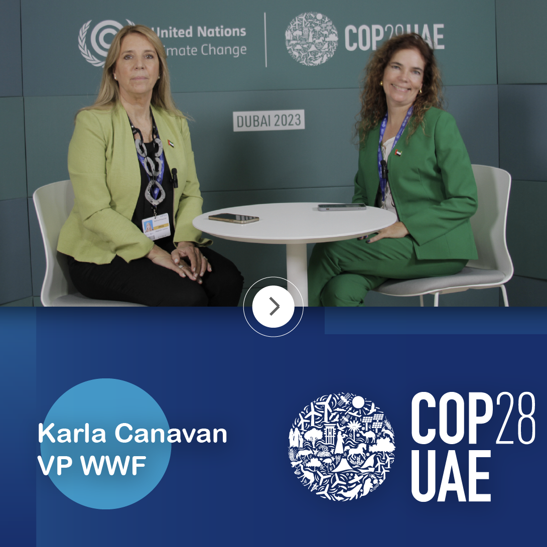 Entrevista Karla Canavan – VP de Commodities de WWF